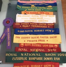 Superb Job Lot 1980s / 1990s Royal Show Prize Sashes. Sydney, Hobart, Ekka