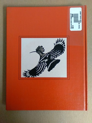 Have You Ever Heard Of A Kangaroo Bird By Barbara Brenner - Picture 3 of 3