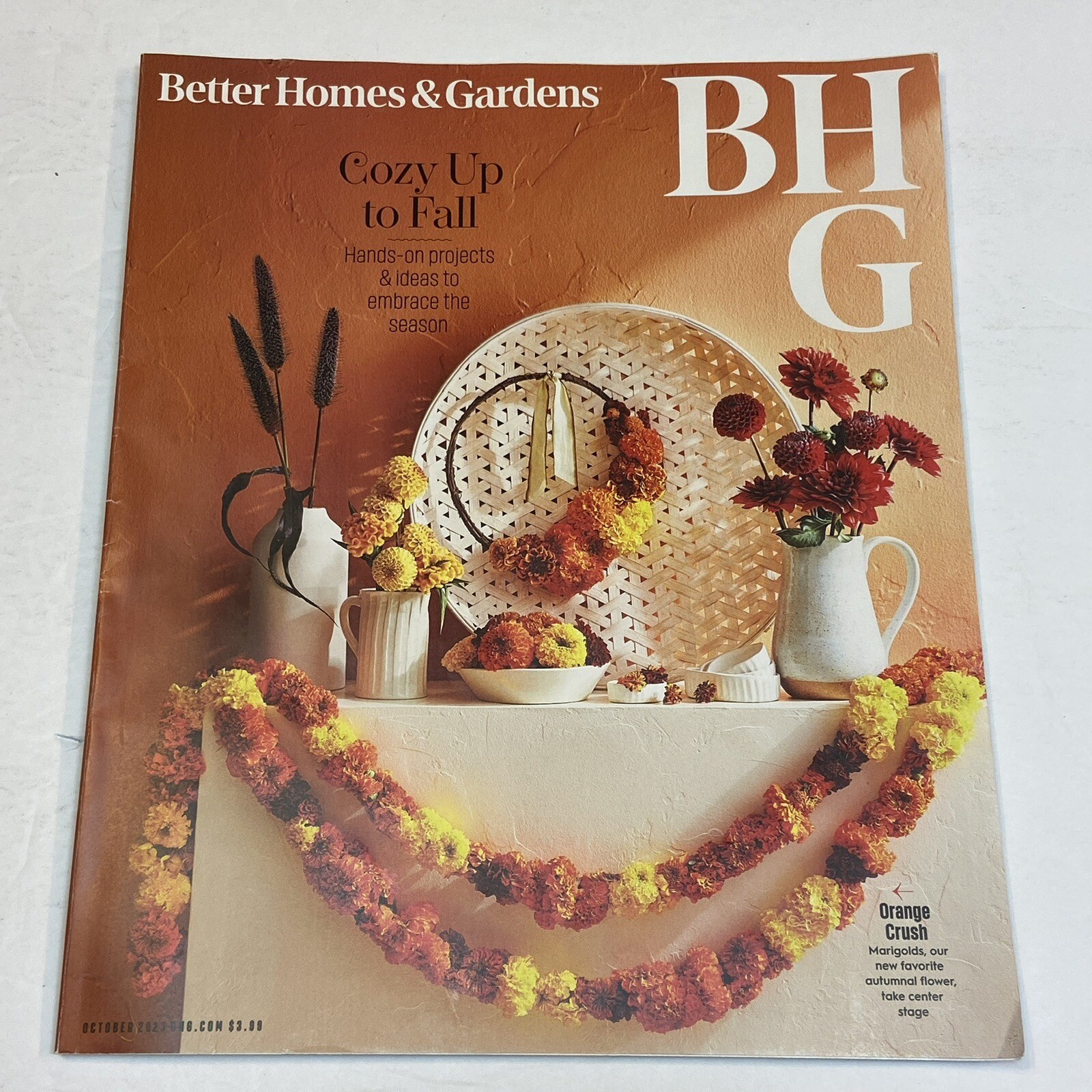 Better Homes Gardens Oct 2023 Fall Issue Cozy Autumn Vibes Orange Marigolds Halloween Decor Ideas