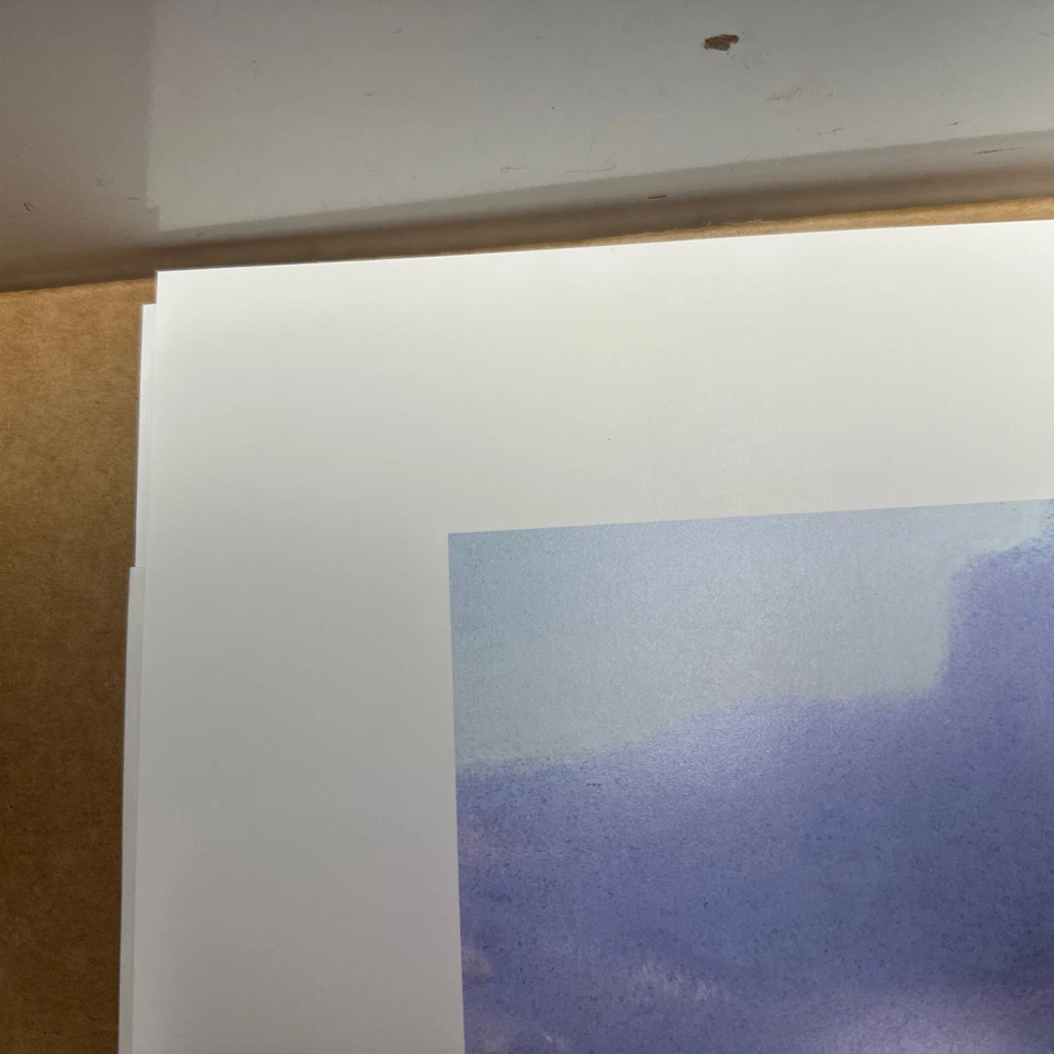 Ruger North Americans - S/N - “Desert Rangers” - Paul Bosman - 215/950 Foto 2 de 4