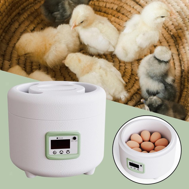 Digital Automatic Egg Incubator Poultry Hatcher for Hatching Duck Quail Digital Automatic Egg Incubator Poultry Hatcher for Hatching Duck Quail