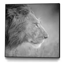 Giant Art Canvas  30x30 Thinking Under the Rain Framed in Multi-Color