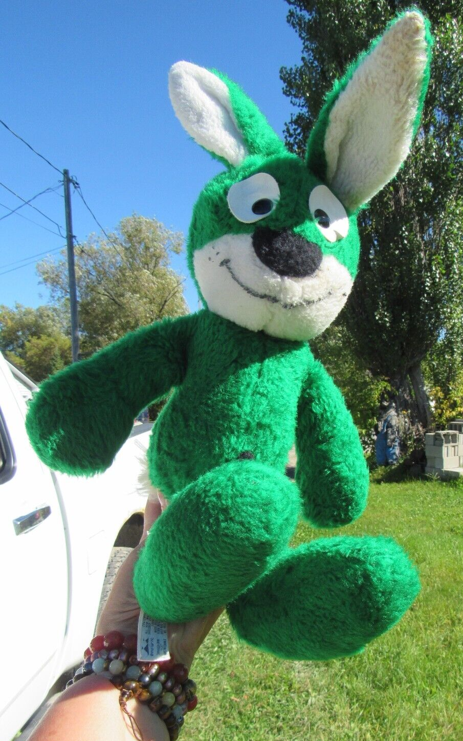 Picture 1 of 24