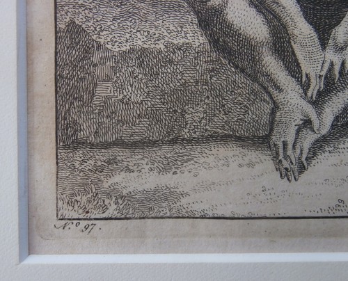 MAN APE Colonial Era 18thC Artist OLD MASTER Engraving Darwin Evolution Interest - Picture 13 of 16