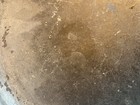 Antique English Pewter Charger London Touch Marks 18th / 19th Century AAFA — photo 9