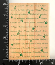 Hampton Art Flower Words Gardening Background Tulip Daisy Violet Rubber Stamp