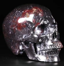 Huge 5.0" Chicken Bloodstone Carved Crystal Skull, Realistic, Crystal Healing