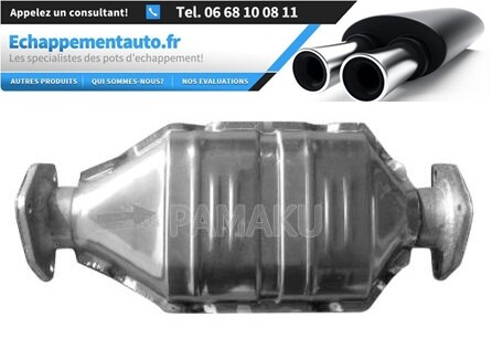 Catalyseur Daewoo Lanos 96350080 pour réparer une perte de puissance