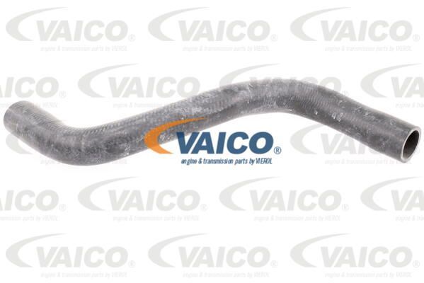 Vaico V46-0911 KüHlerschlauch FüR Renault-image