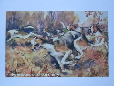 ''Unsere sportlichen Hunde'' Foxhounds in vollem Schrei Vintage Hunde Postkarte K24