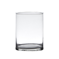 Glasvase Zylinder H: 15Cm D: 12Cm Dekoglas Hakbijl