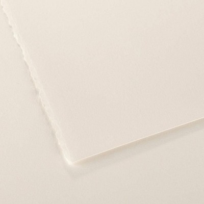 Canson Edition Sheet 22X30-Antique White, 25 Sheets