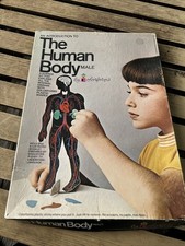 Vtg 1970 Colorforms  An Introduction To The Human Body-Male   1149 Complete