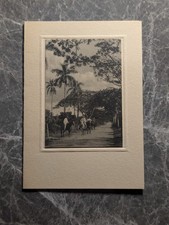 Christmas Card Vintage Spanish Feliz Navidad Tropical Scene Donkeys Palm Trees