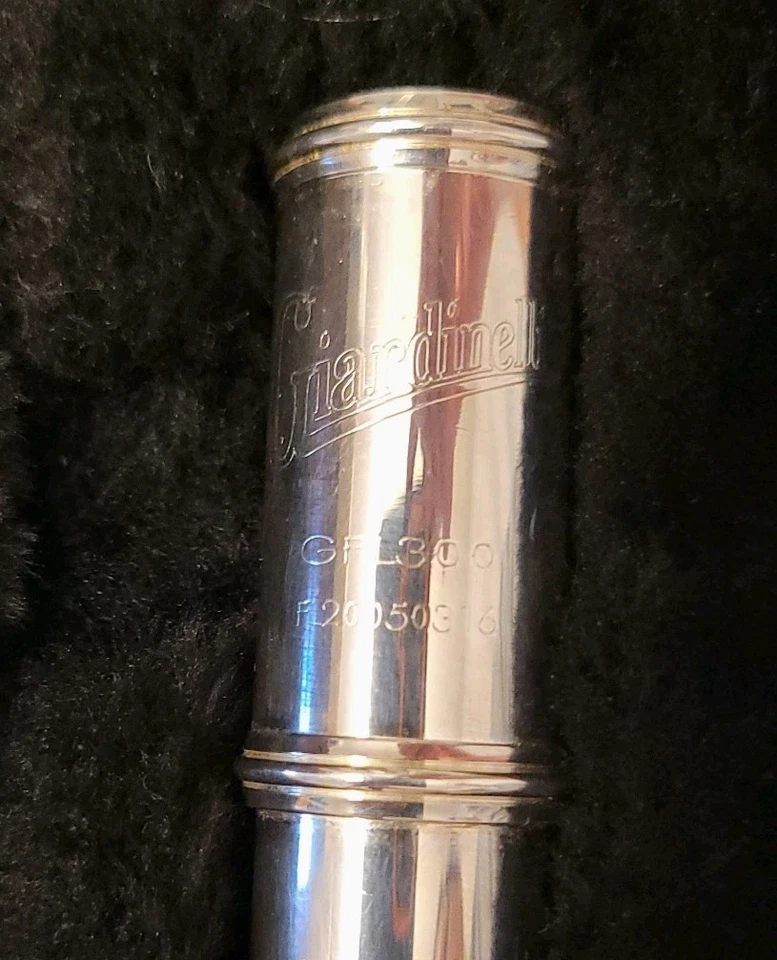 Flauta plateada Giardinelli GFL-300 GFL300 estuche rígido negro probado FL20050316 Foto 2 de 4