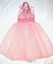 Girls Princess Costume Dress Tulle Sparkle Skirt halloween Sz Med 10/12