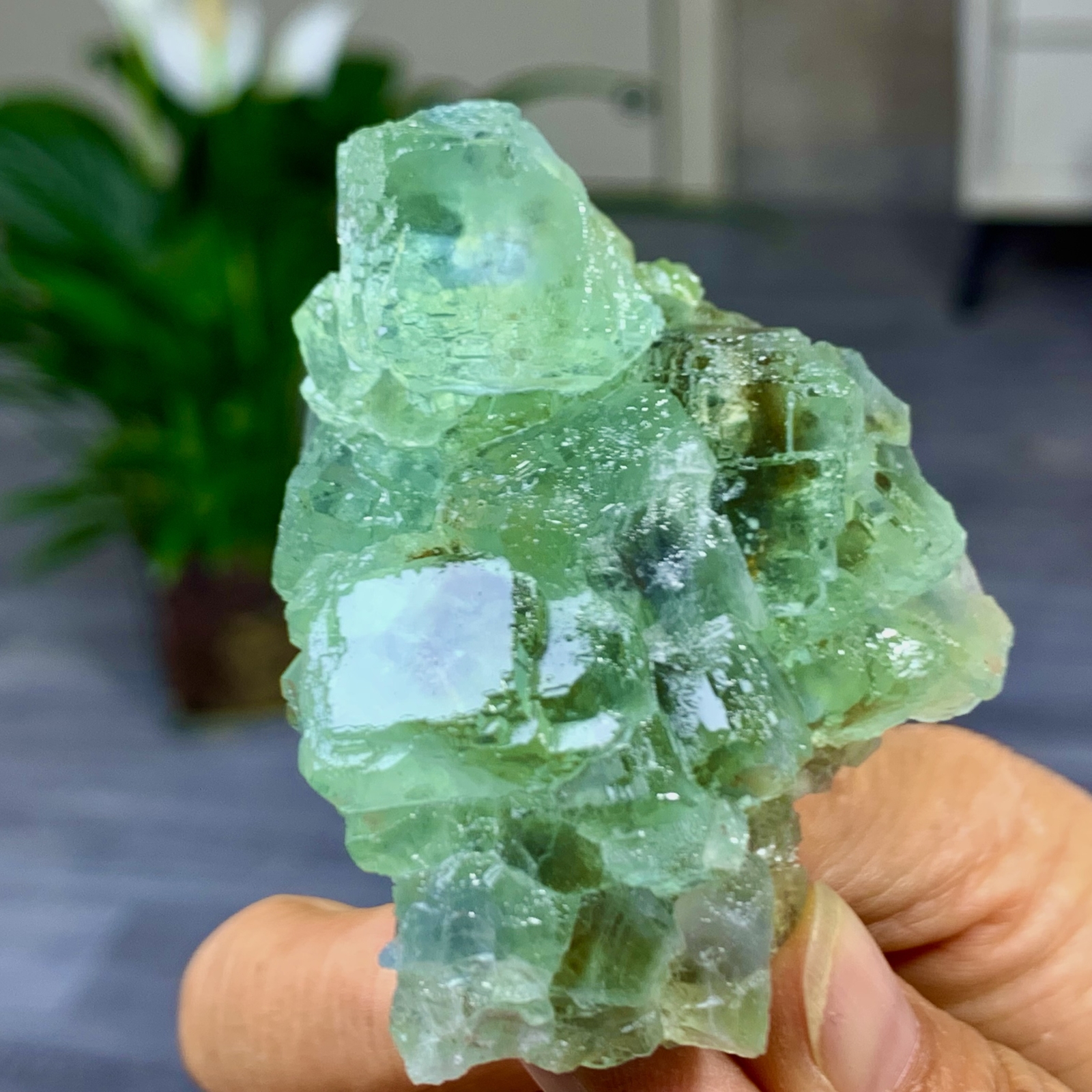 149G Rare Transparent Green Cubic Fluorite Crystal Specimen from China