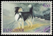 FAROE ISLANDS 267 - Sheepdog (pb31959+)