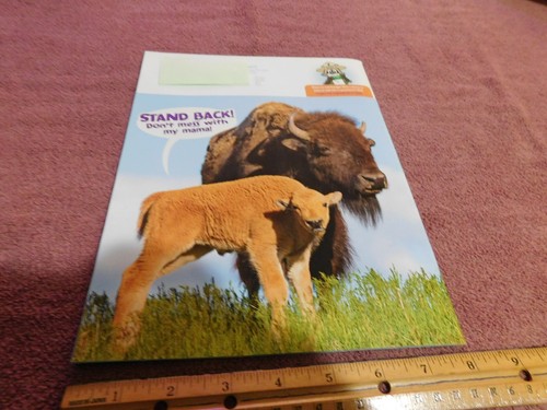 Ranger Rick Children's Magazine August 2021 Wildlife Photos & Articles - Imagen 3 de 3
