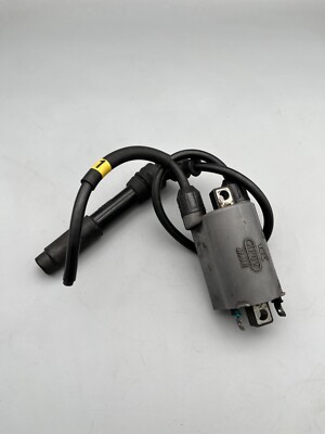 ユウ Kawasaki ZX-10 ZX9R ZX6R ZXR750 ZZR 600 1100 Zündspule Ignition