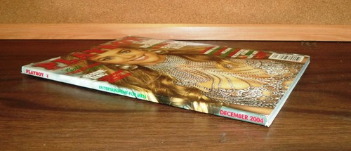 PLAYBOY, DEC. 2004, Denise Richards, Tiffany Fallon, Bernie Mac, Dustin Hoffman - Picture 3 of 4