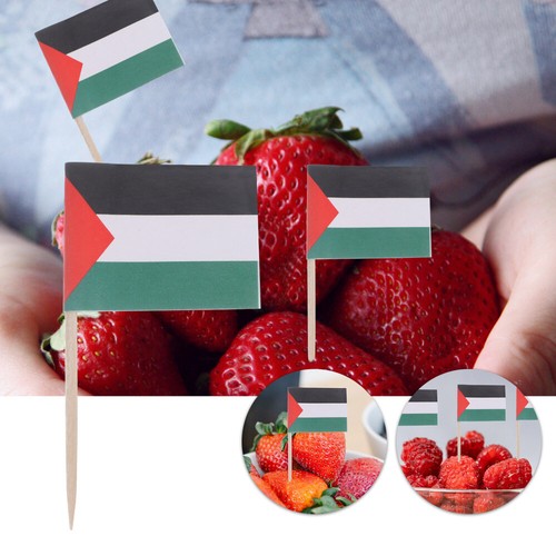 100pcs Palestine Flag Cake Pick Topper National Flag Toothpick Small Fruit - Picture 5 of 12