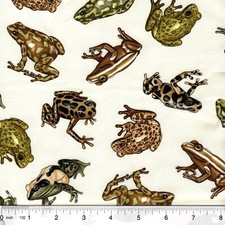 Tropical Rainforest Amazon Frogs 100 Cotton Fabric last 1/2 yard