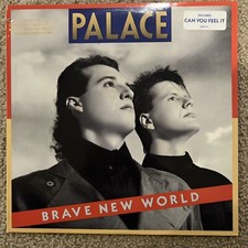 PALACE-  BRAVE NEW WORLD. 1988.  ROCK.      LP