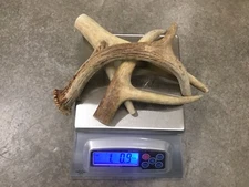 1 Pound Cheap Chews Deer & Elk Antler Dog Chew Mix-M/L LOT Bulk Fork Large SALE