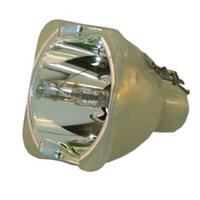 IET Genuine OEM Replacement Bulb for RUNCO CL-410 Projector Bulb Only 