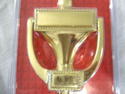 Brass Door Knocker 8” Classic Style Can be Engraved New - Picture 3 of 7