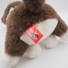 Bild 9 von 10