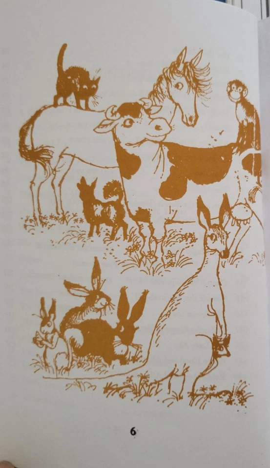 Radiant Reading Book 1 Sunbeams Kids Reading Aid For Young Learners Fun Reading - Image 4 of 4