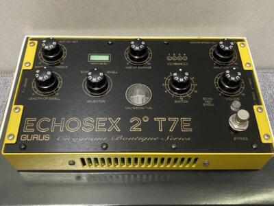 Gurus Echosex 2 T7E 010 Binson Echorec Guitar Effector Early Gurus Echosex 2 T7E 010 Binson Echorec Guitar Effector Early