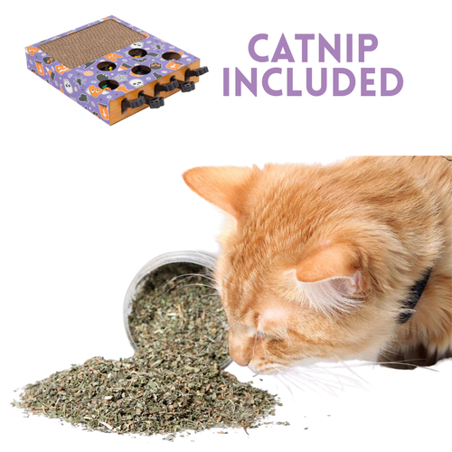 Halloween Pet Toys Cat Scratcher Board Pack of 10 Catnip Infused Plush Balls - Picture 6 of 8