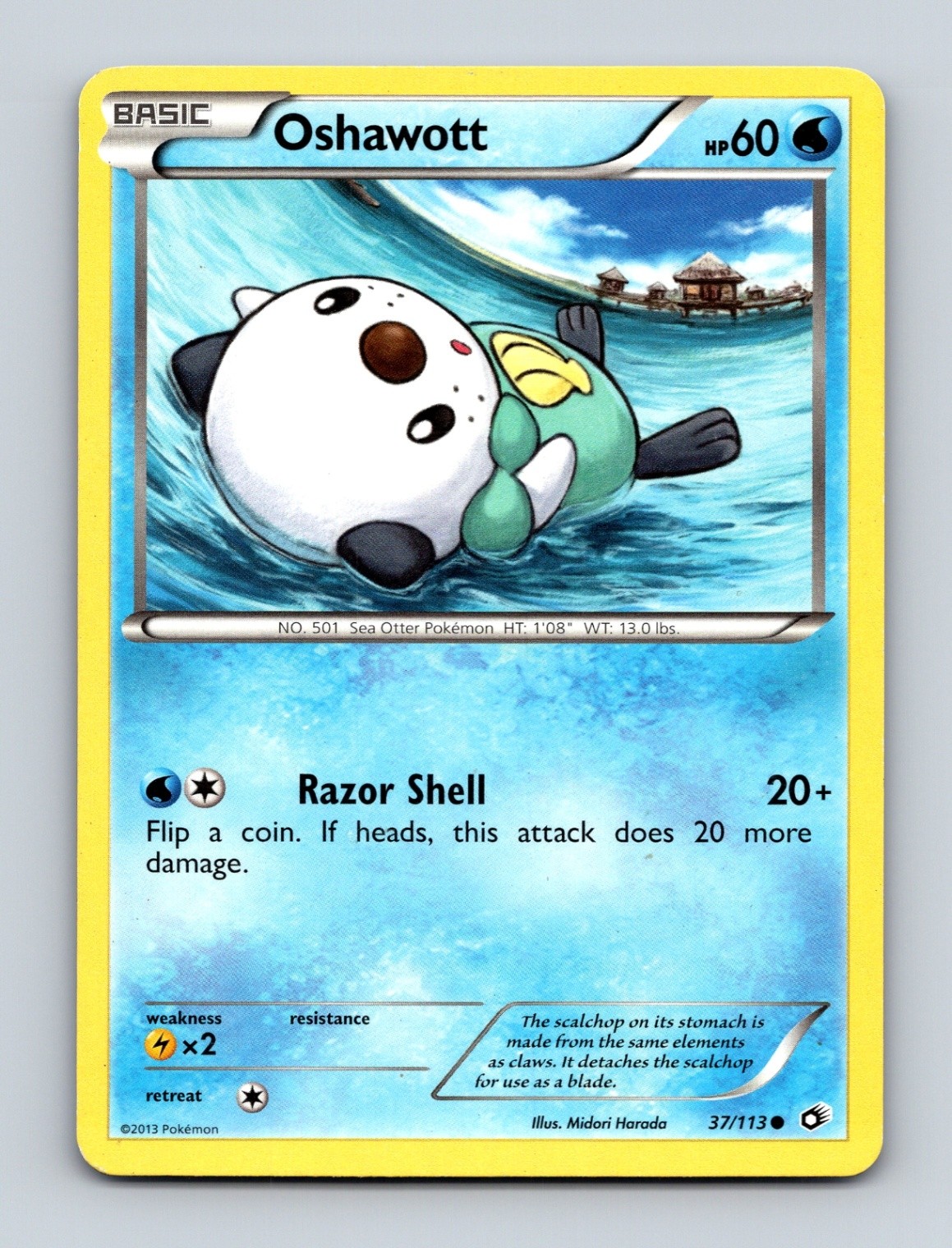 Oshawott Legendary Treasures 37/113 Lightly Played