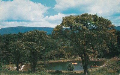 Hillbrook Motel's Private Natural Swimming Pool Vermont Postcard Unposted T695
