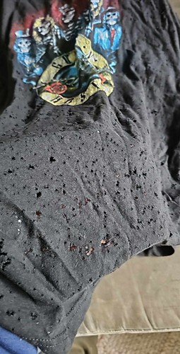 Guns N Roses T-Shirt bravado Large - Picture 5 of 5