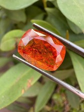 Natural Orange Spessartite Garnet 5.75Ct Cush...