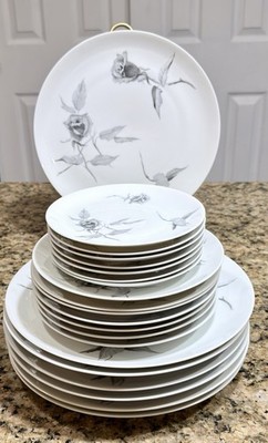 Rosenthal Continental Jet Rose 21pc Dinnerware Set Raymond Loewy Germany