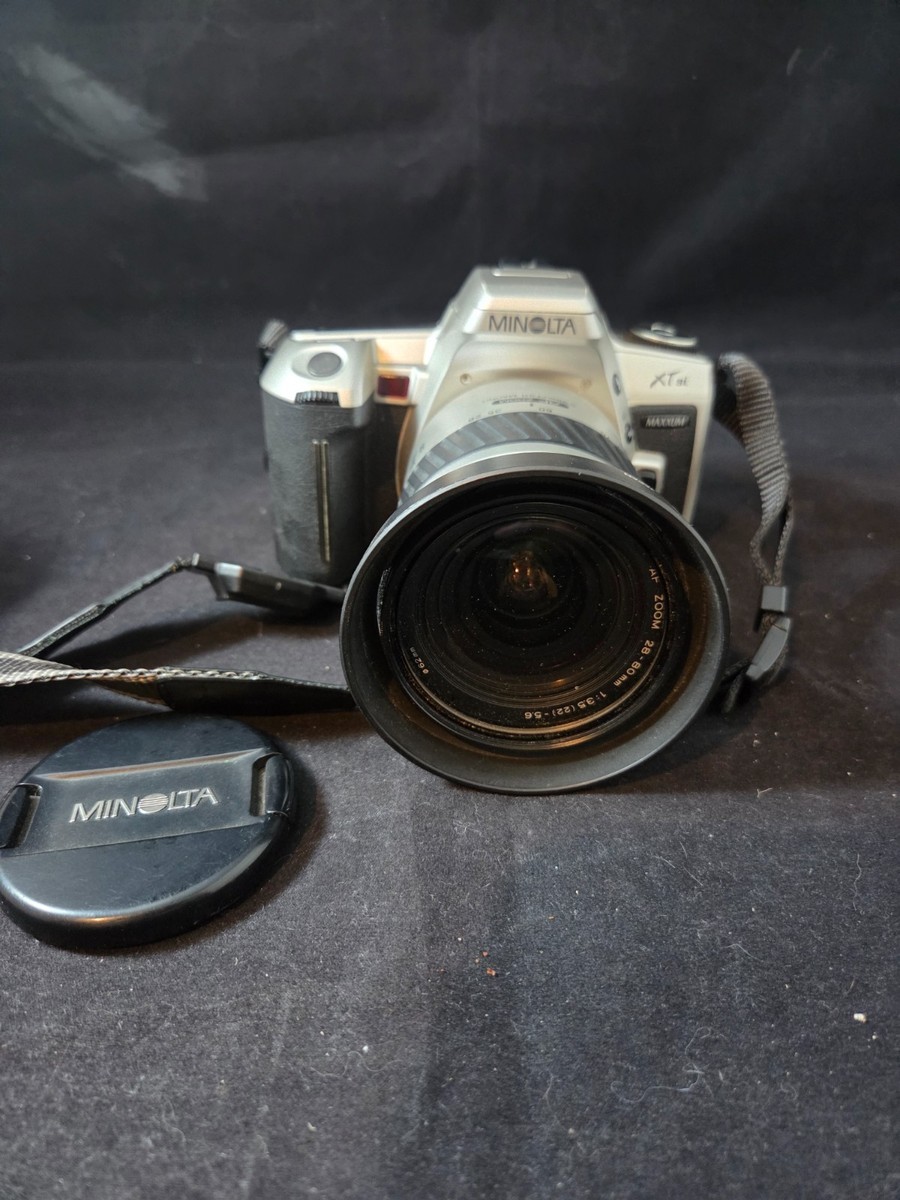 マクロザミア コムニス×マクロザミア ジョンソニー　ハイブリッド　※希少 Minolta Maxxum HTsi Plus 35mm SLR Film Camera for sale online | eBay