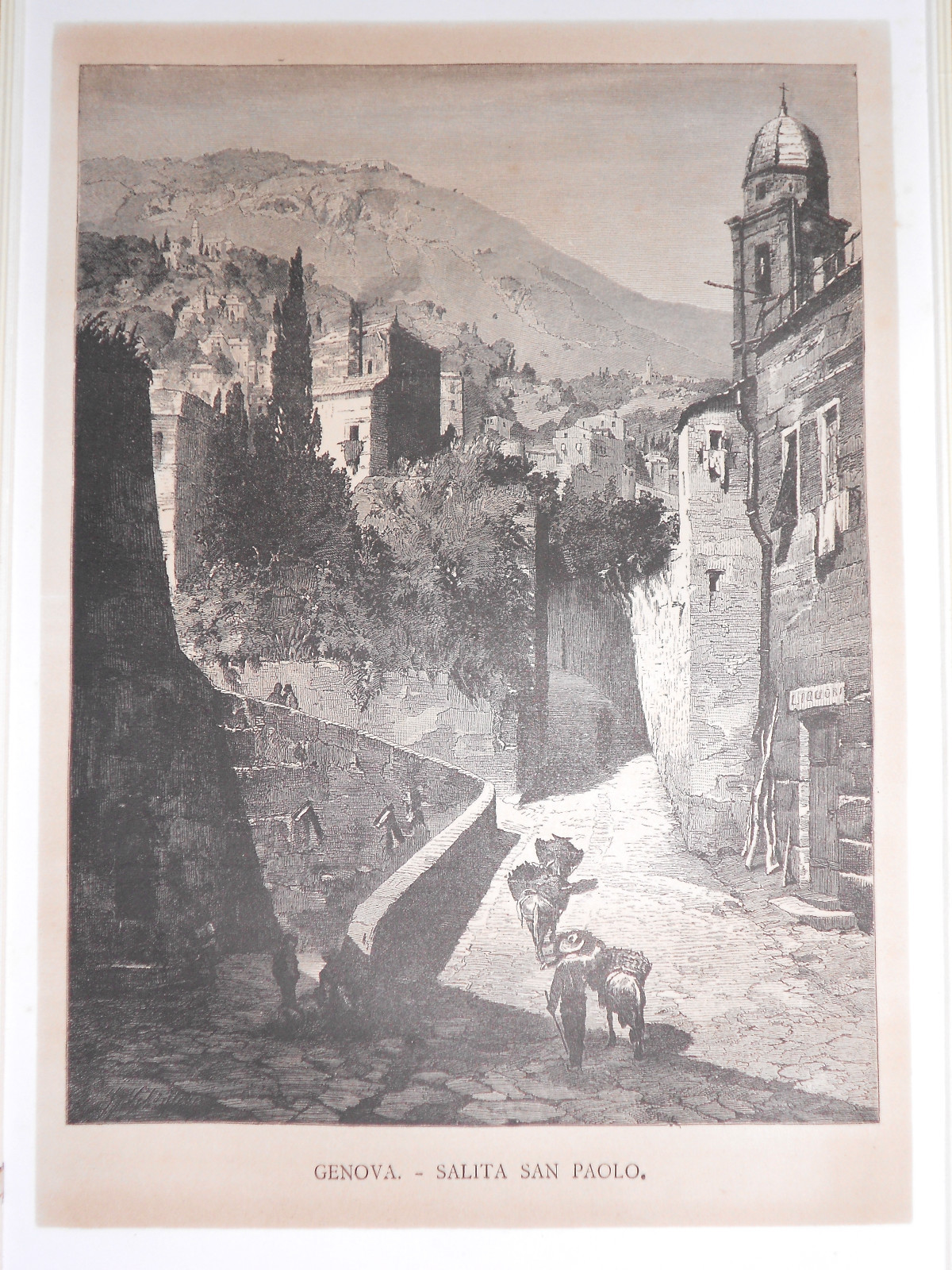 Foto 1 di 1