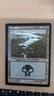 MTG Swamp - Lake District National Park Euro Set 2 Euro Land Promo NM