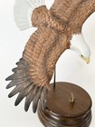 Foto 6 di 10