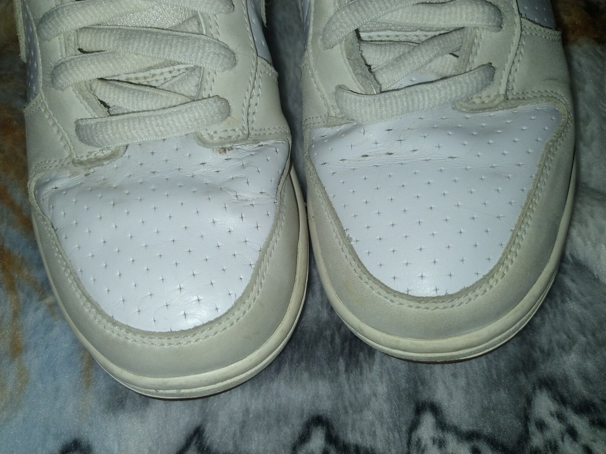 Nike SB Dunk Low Gino Iannucci 3 Size 7 White 313170-112 rare 2009