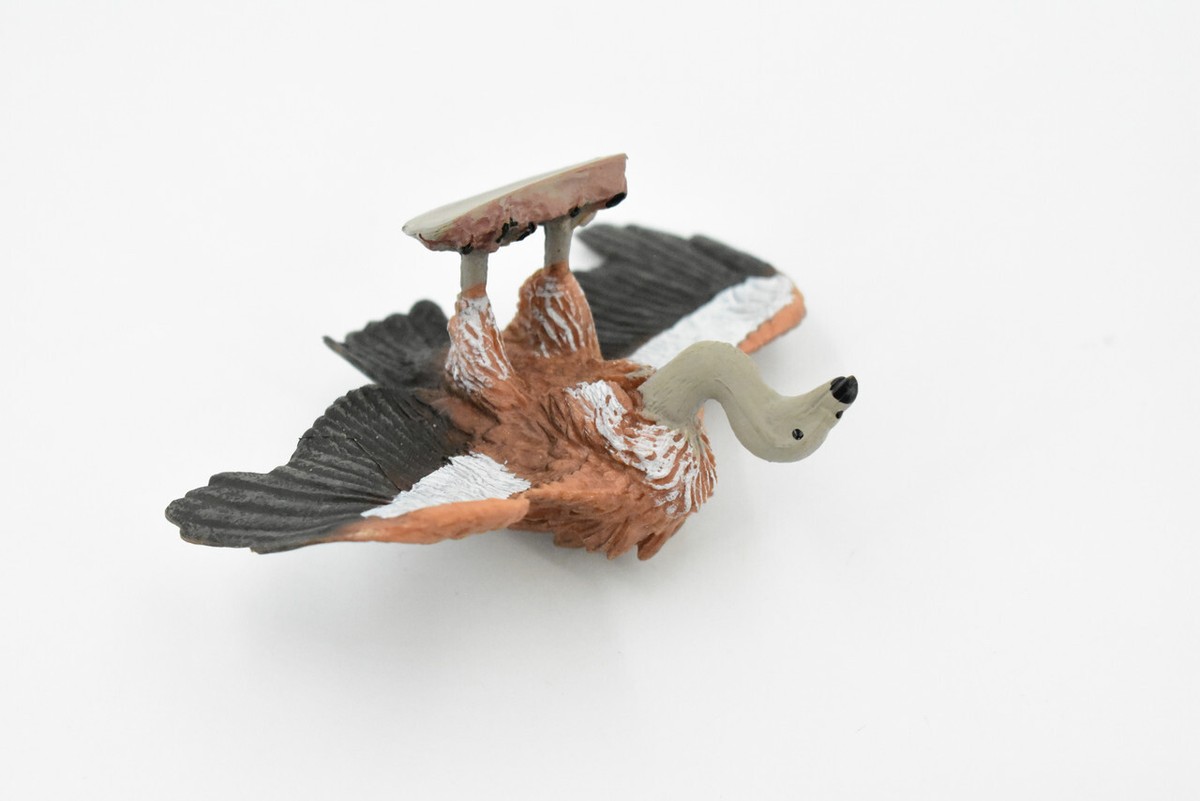Vulture Bird, Realistic Toy Figure, Model, Replica, Gift, 4