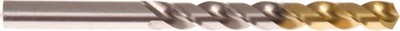 Spiralbohrer HSS-TiN DIN 338 10,0 mm