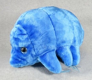 GIANT MICROBES-GIGANTIC WATERBEAR-Stuffed Plush Tardigrade Biology Science NEW! | eBay