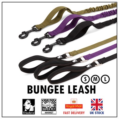 bungee running leash