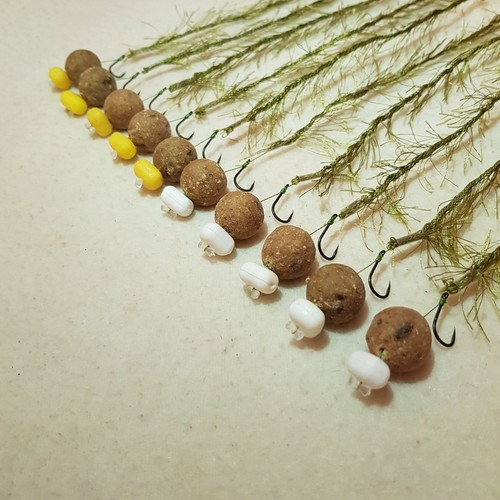 10 x WEED EFFECT HAIR RIGS LOADED WITH 15MM TIGER NUT BOILIES FLYNSCOTMAN - Picture 2 of 5